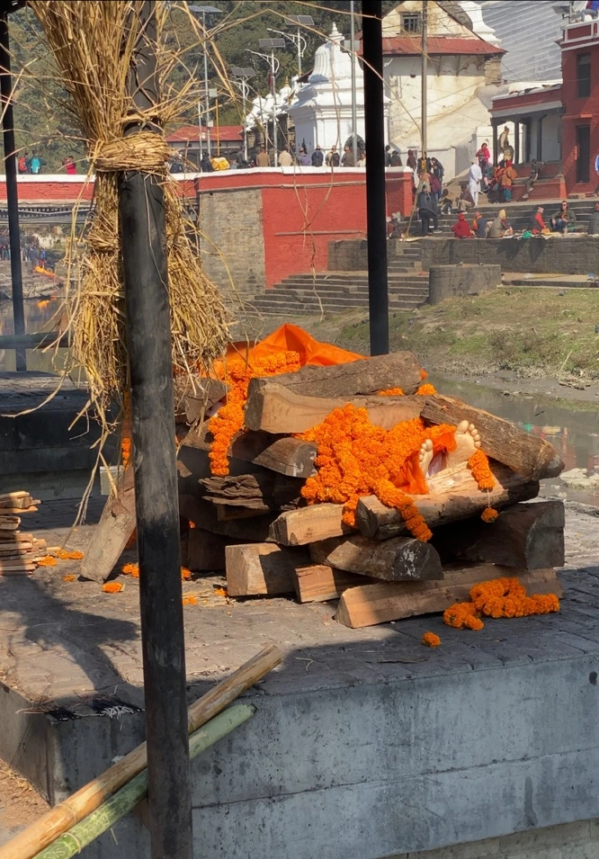 SE-7fdcd499-f603-45e4-93e3-0d7c906a9fd5.jpg?type=w773