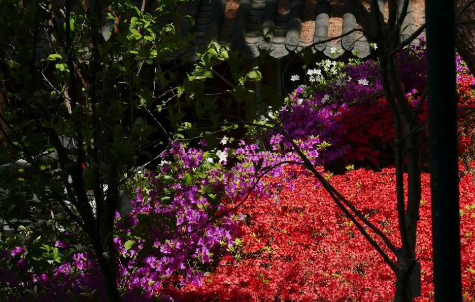 SE-f6d270ea-6719-44fd-b47a-5994b8df7394.jpg?type=w1