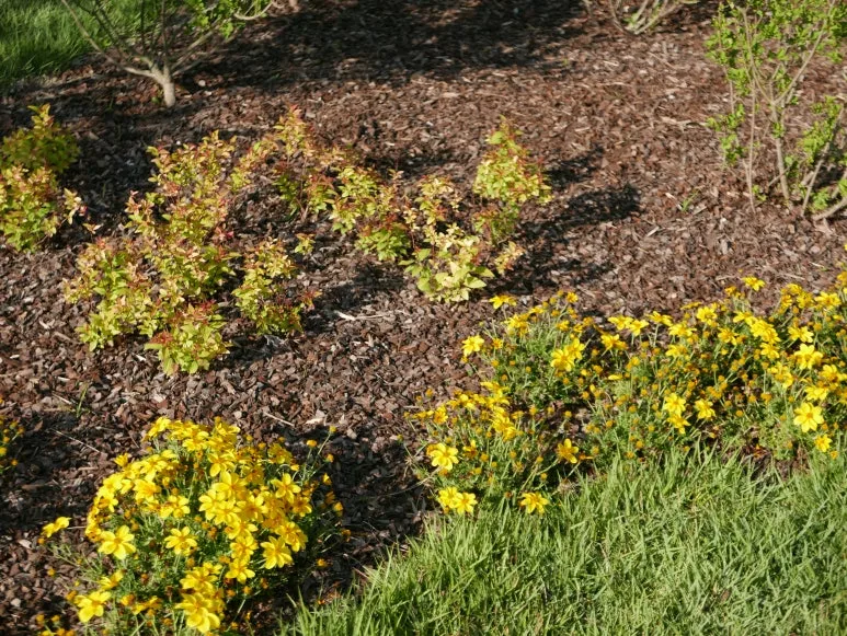 L1070410.JPG?type=w773