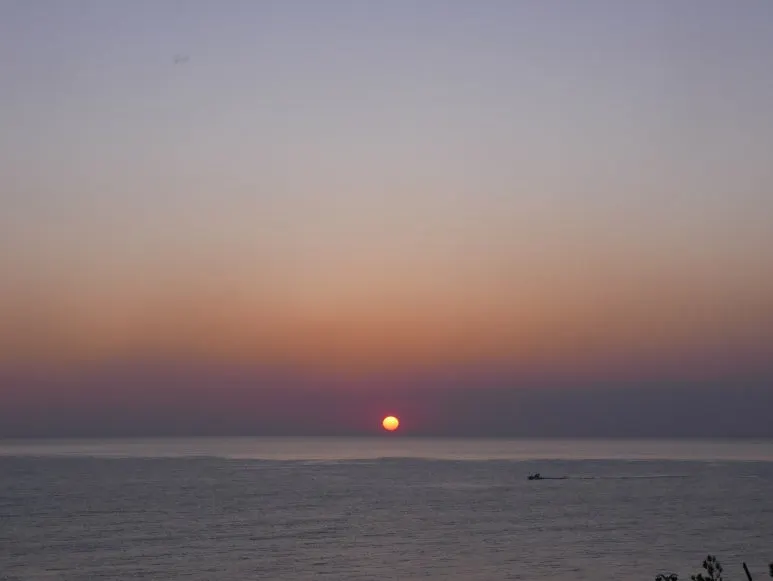 L1060462.JPG?type=w773