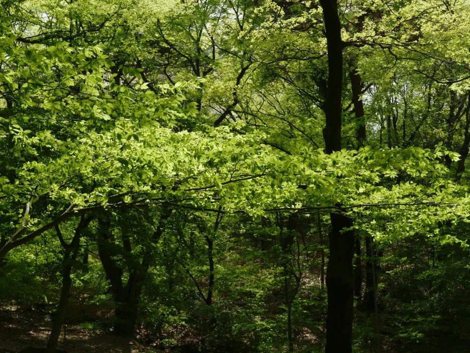 SE-4731a6a4-fb36-417b-aae4-0c71bad541f9.jpg?type=w1