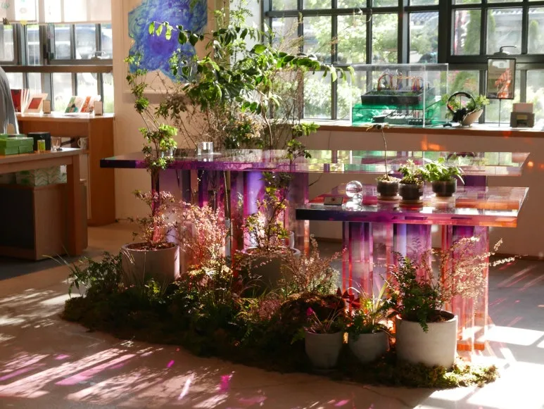 L1070399.JPG?type=w773