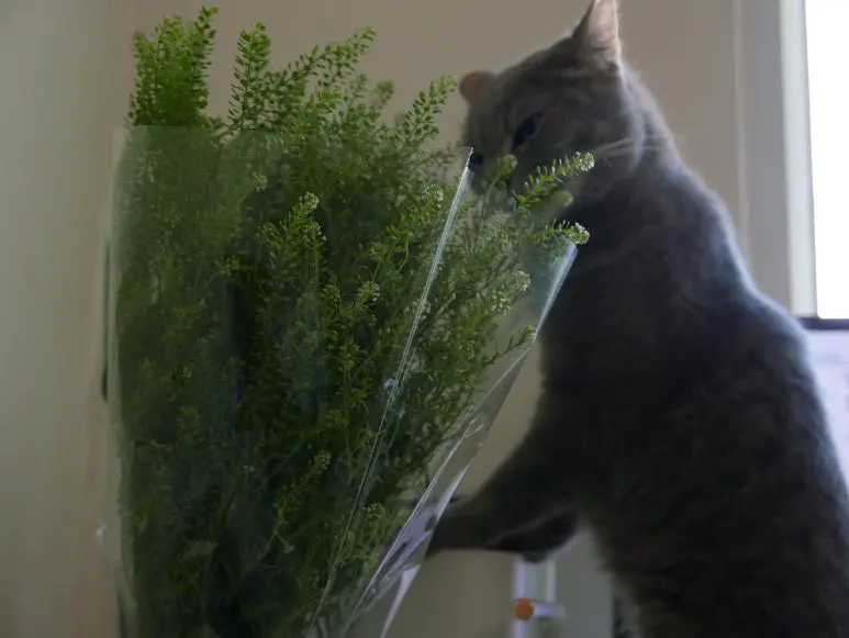 L1070531.JPG?type=w773