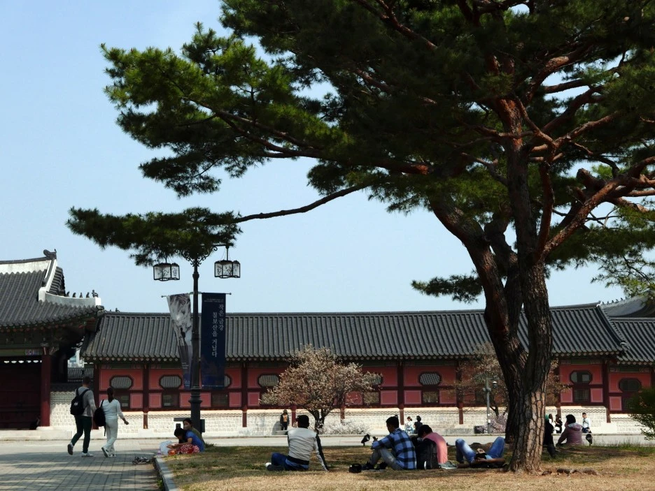 SE-c579aad8-c60e-4c06-8c14-154def59c72c.jpg?type=w1