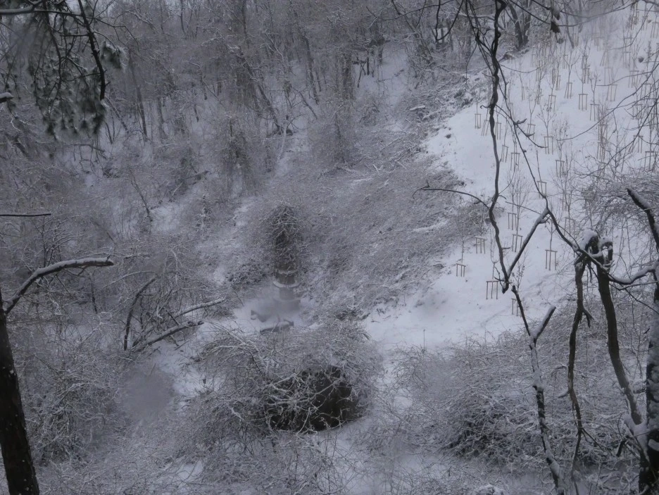 L1060024.JPG?type=w1