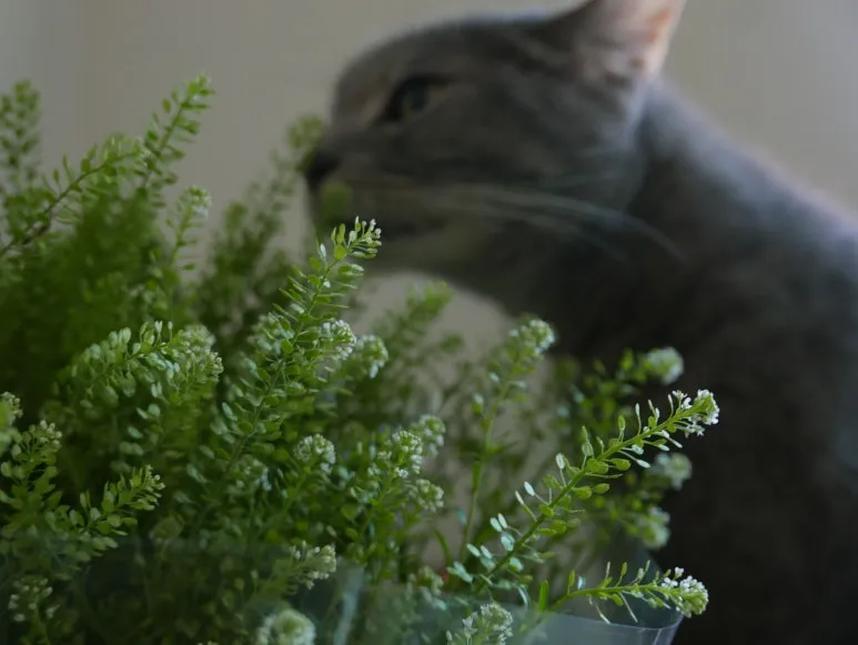 L1070533.JPG?type=w773