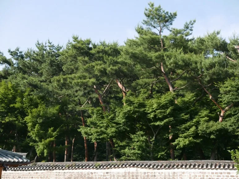 L1070507.JPG?type=w773