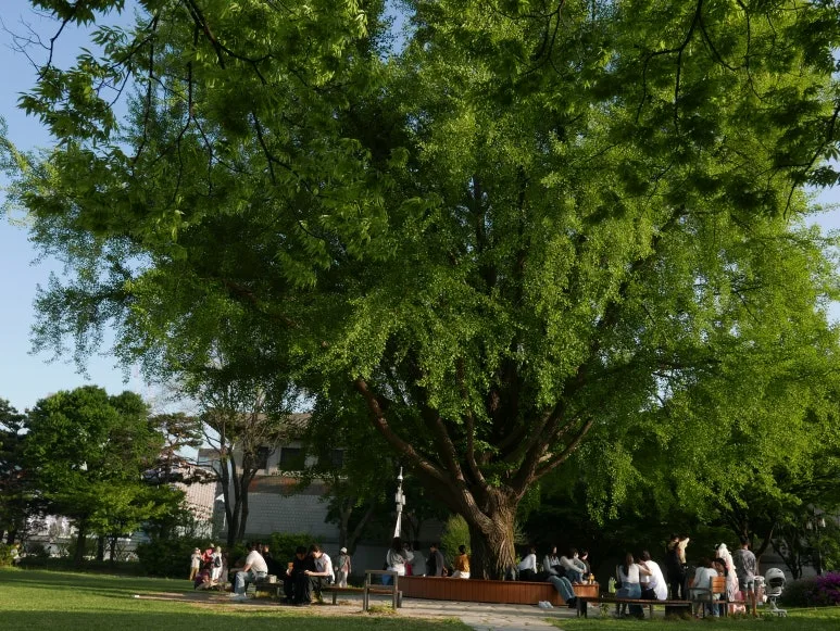 L1070340.JPG?type=w773