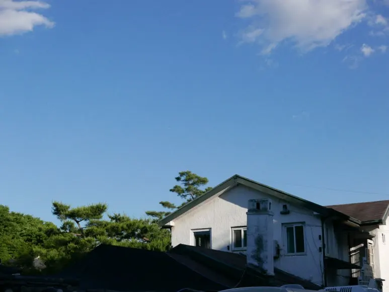 L1070432.JPG?type=w773