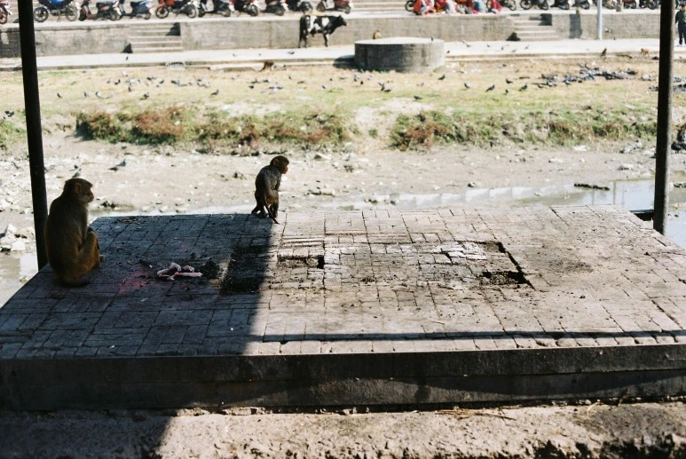 000027.JPG?type=w773