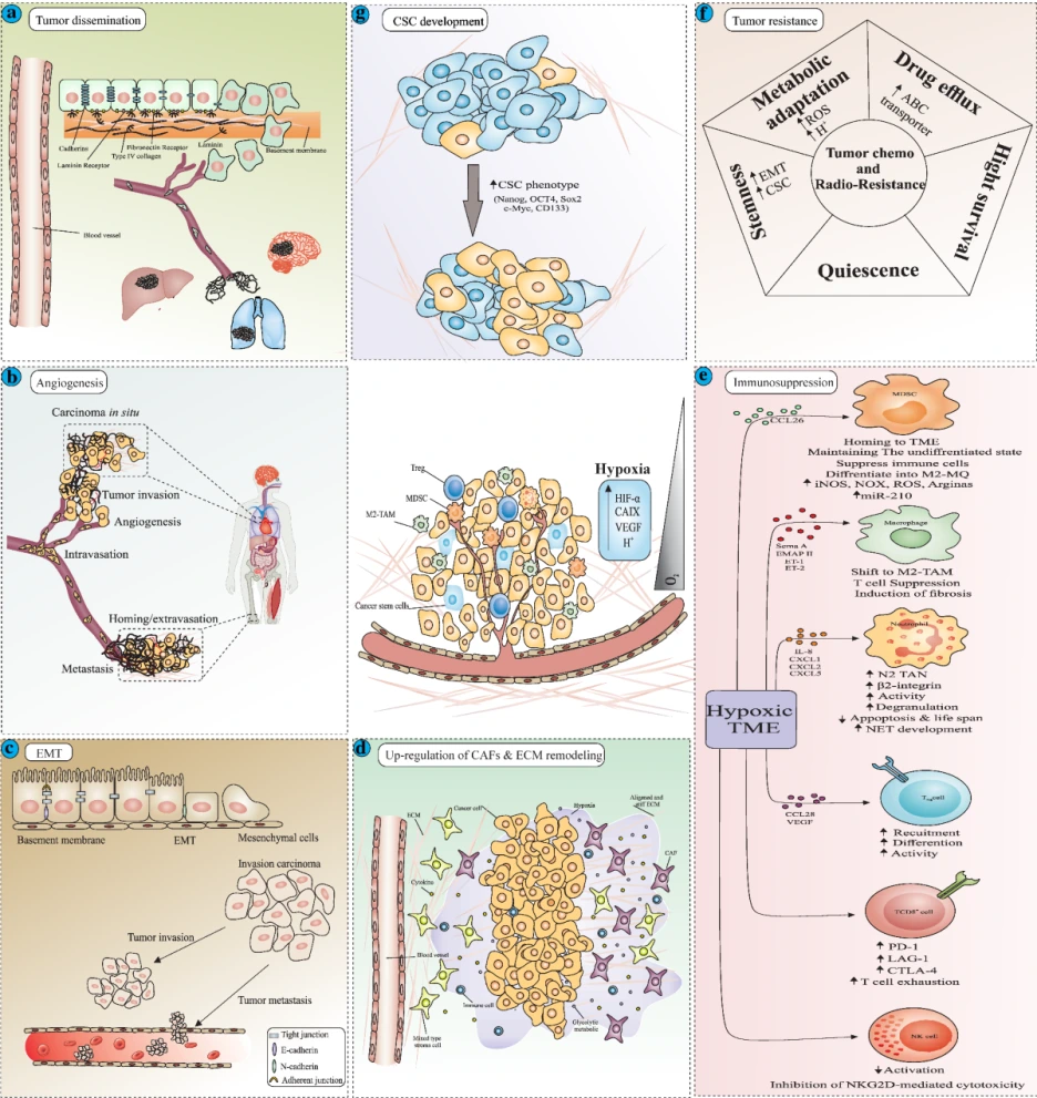 art_3A10_(2).png?type=w1