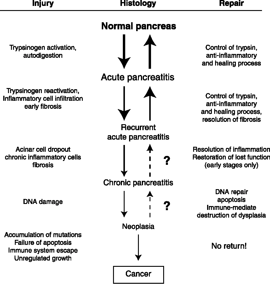 3-Figure1-1.png?type=w1