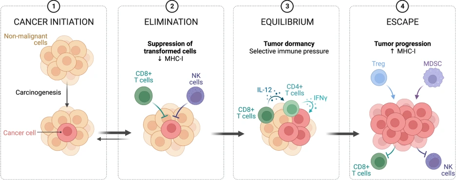 art_3A10.png?type=w1