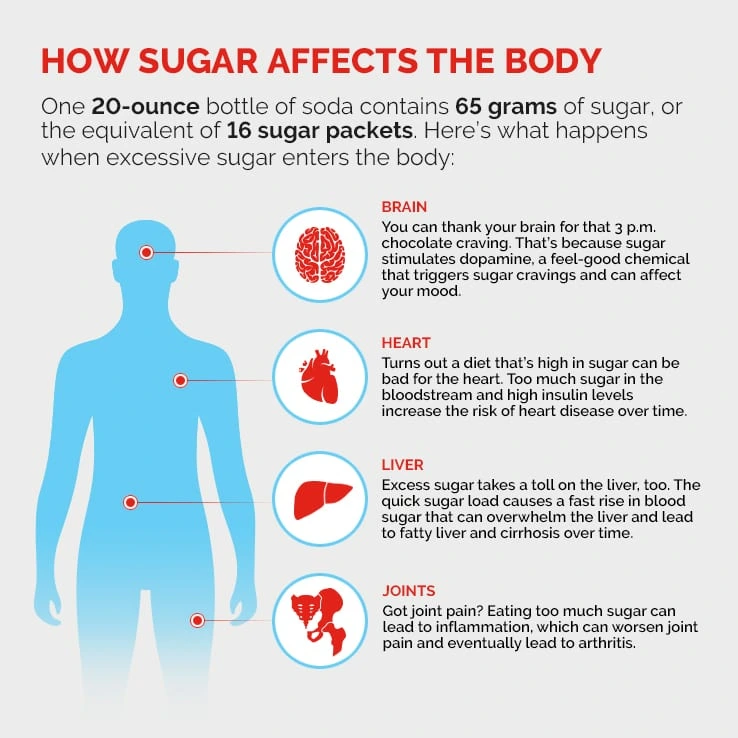 sugar-body-diagram-6.png?type=w1