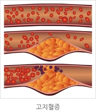 D131_img_11.png?type=w1