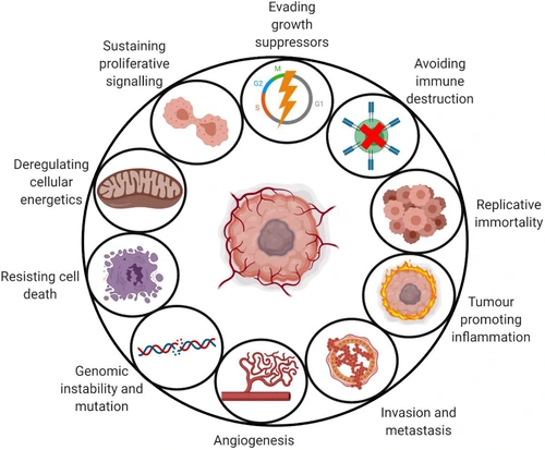 adtp202000267-fig-0002-m.png?type=w1