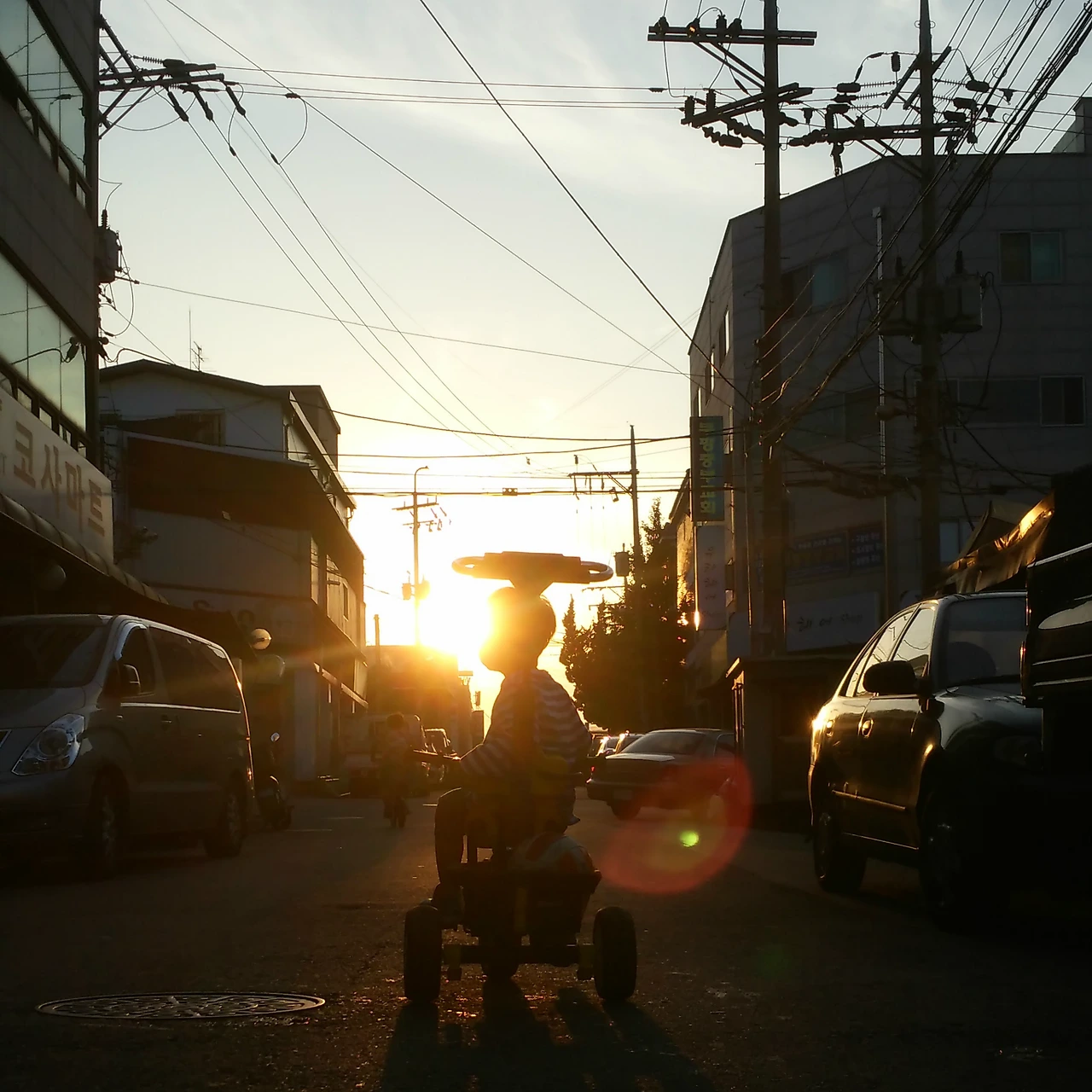 자전거석양.png
