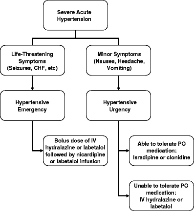 art_3A10.png?type=w1