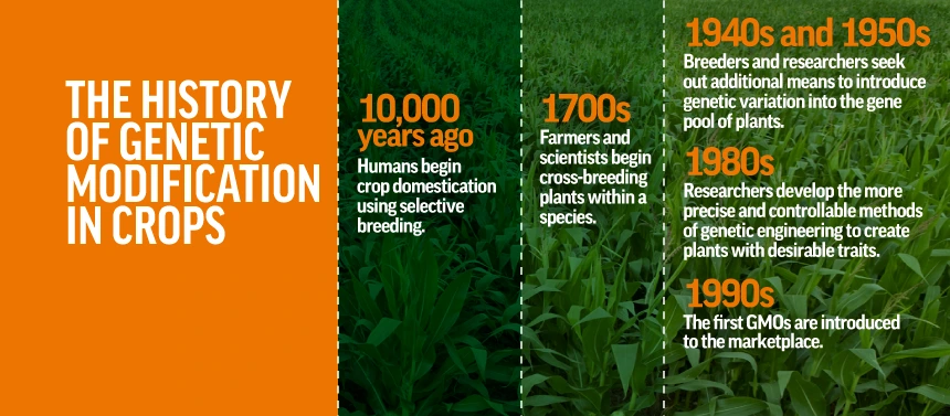 GMO_History_v1_0.png?type=w1