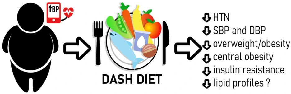 nutrients-16-02786-g001.png?type=w1