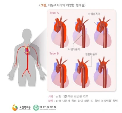 _B4_EB_B5_BF_B8_C6_B9_DA_B8_AE4.png?type=w1