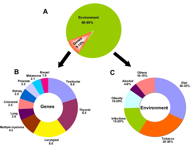 The-role-of-genes-and-environment-in-the-development-of-cancer-A-The-percent.png?type=w1
