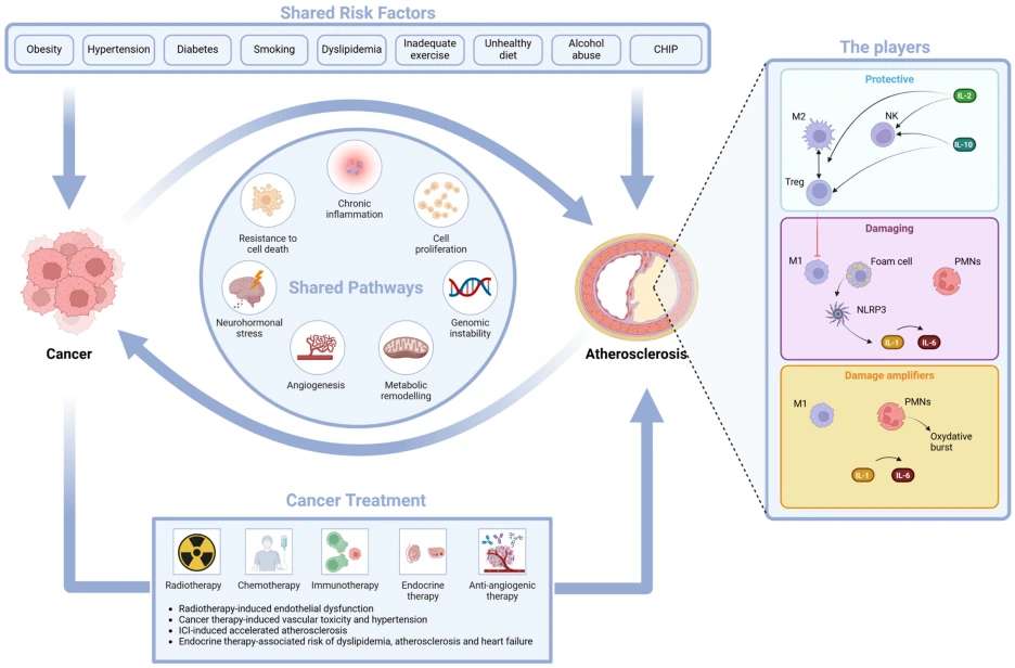 ijms-25-04232-g001.png?type=w1