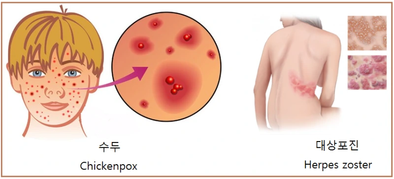 MDAxNTEzMDU1MzMxNjgy.rkCMrOORM6uqMkPxjwkKG_7pbUt6KL6d_dwxjTeW5Wgg.5NOJEqPP40.png?type=w1