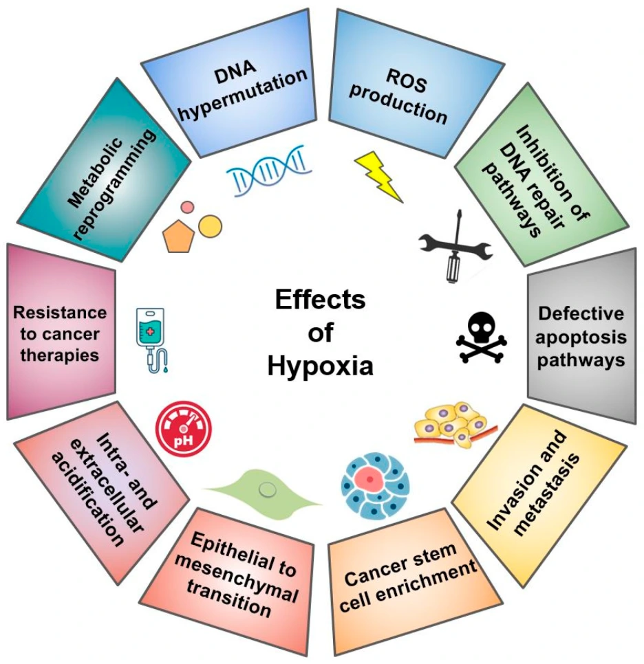 cells-10-00678-g001.png?type=w1
