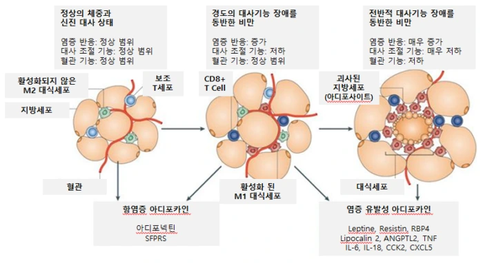 image-570303161564624831125-700x382.png.png?type=w1
