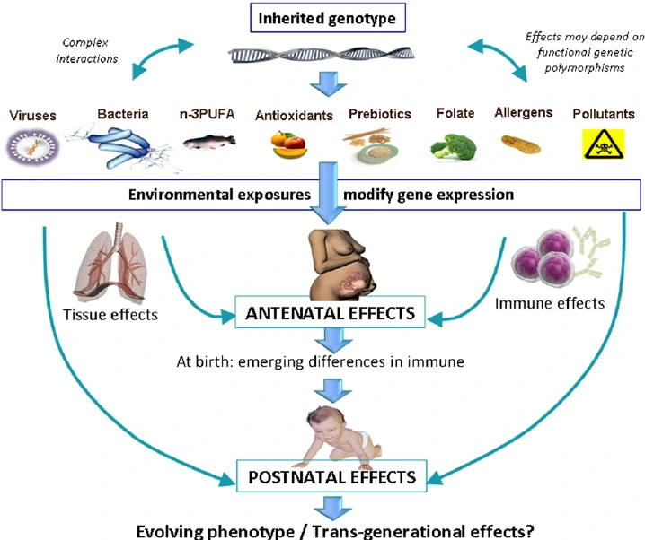 Complex-gene-environmental-interactions-modify-gene-expression-and-phenotype.png?type=w1