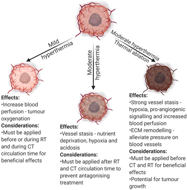 adtp202000267-fig-0003-m.png?type=w1