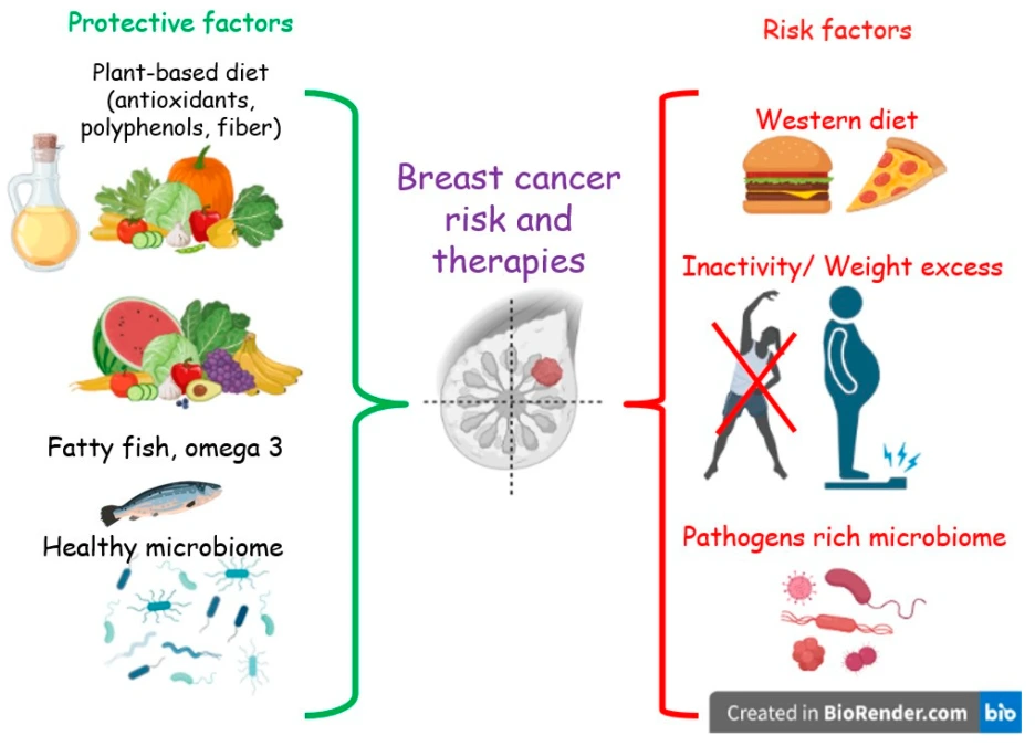 antioxidants-12-01845-g001.png?type=w1