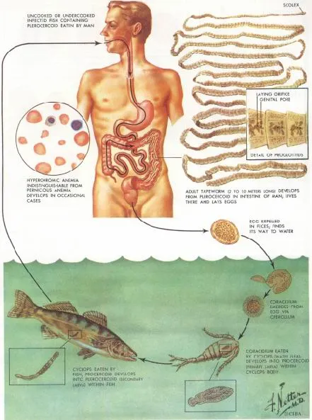 %EA%B4%91%EC%A0%88%EC%97%B4%EB%91%90%EC%A1%B0%EC%B6%A9_%EC%83%9D%ED%99%9C%EC%82%AC.jpg?type=w1