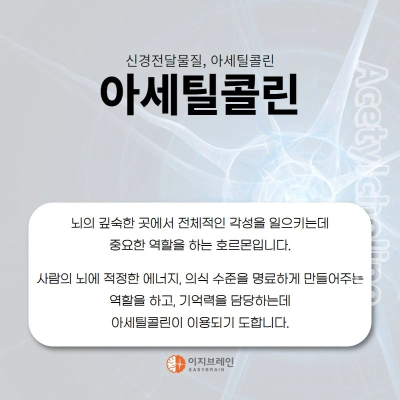 MDAxNjg2OTAzMTgzNzE3.GvYMa178a4MS7cxqnxZhknc19RVSukuEFro53U0V6ZUg.8aPQW8LtGw.png?type=w1