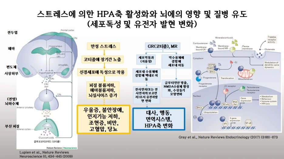 20191204143744a3fcf7f5-fb43-4c1c-8011-595383f875a3.png?type=w1