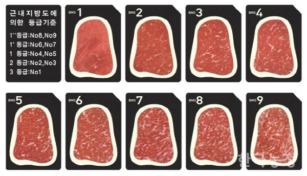 33473_19924_2122.png?type=w1