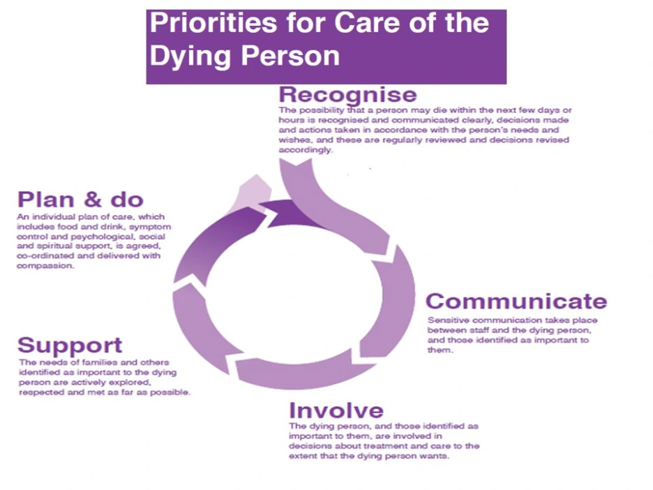 Patient-Centred-Approach-in-End-of-Life-Care.png?type=w1