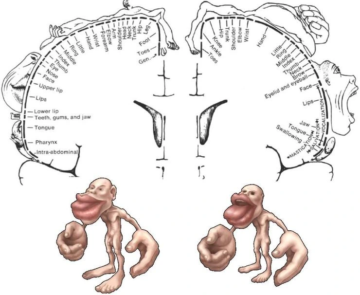 _C5_EB_C1_F50_msnayana.png?type=w1