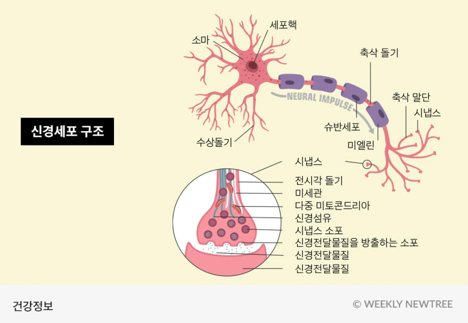 49405e3e-d6d6-4bc5-b280-ad7c9349d71e.png?type=w1