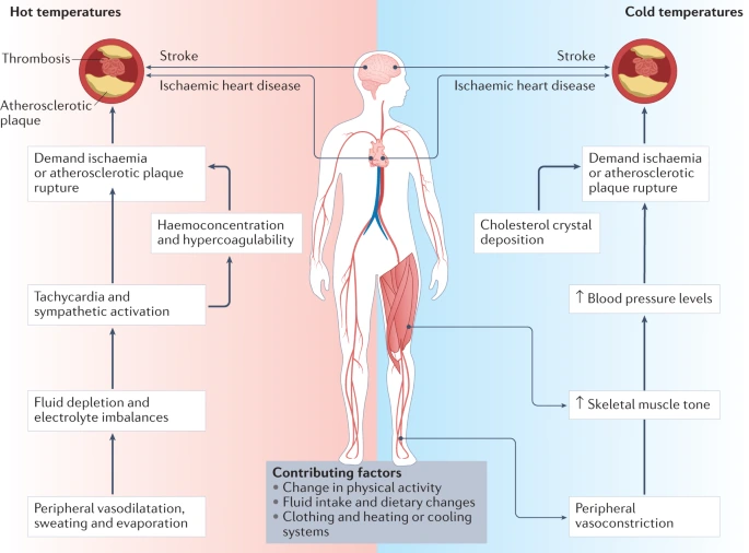 art_3A10.png?type=w1