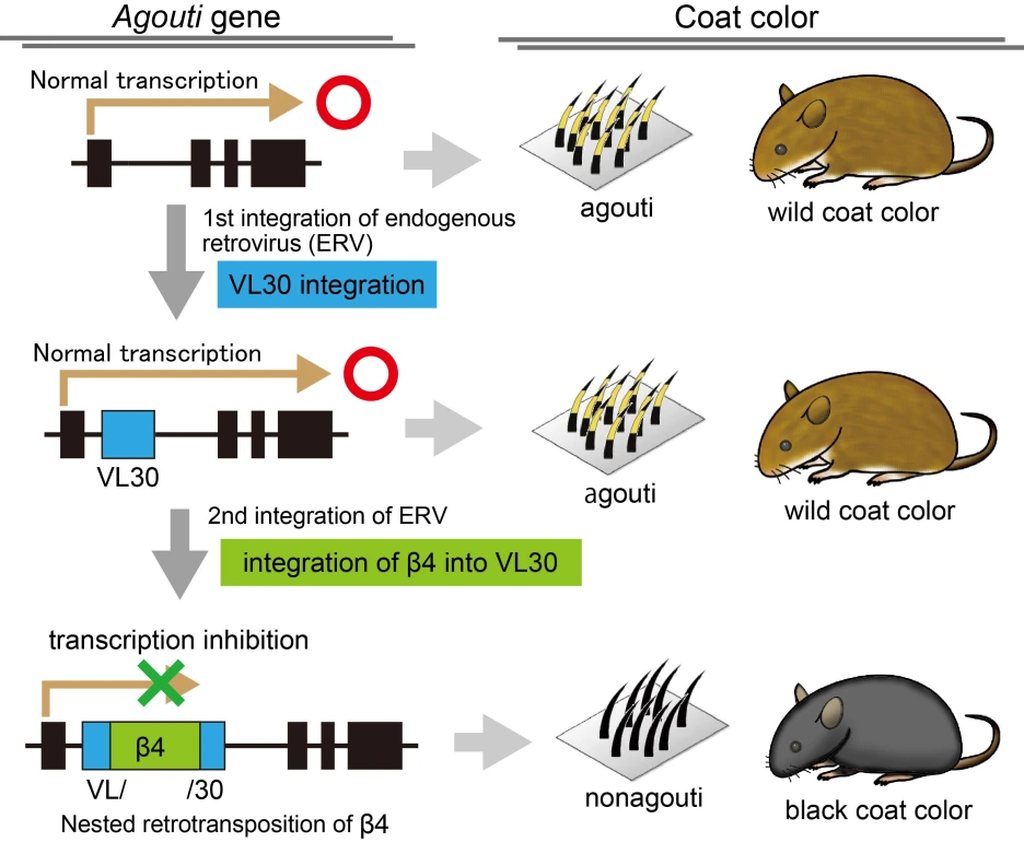 a645b239-6e6f-4aae-961c-4ba3ccafe363.png?type=w1