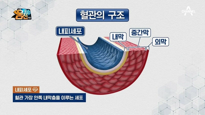 MDAxNzA3NjA0NjE1MTcz.bwsrSYZTVPGn5oP7rBPp2oiMqD_NIkPBWGek0Pf6N1Eg.7GHruOQ_Ml.png?type=w1