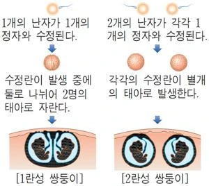 3566b782-eaf3-5595-8edd-a3cc80b42cb1_(1).png?type=w1