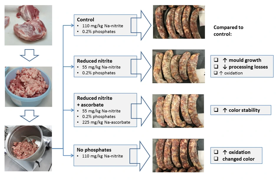 processes-10-00821-ag.png?type=w1