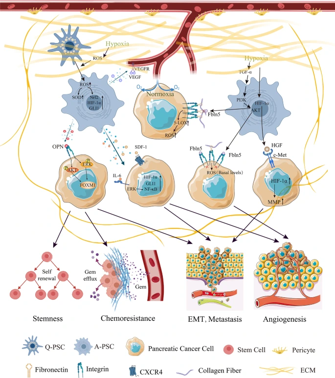 art_3A10_(1).png?type=w1