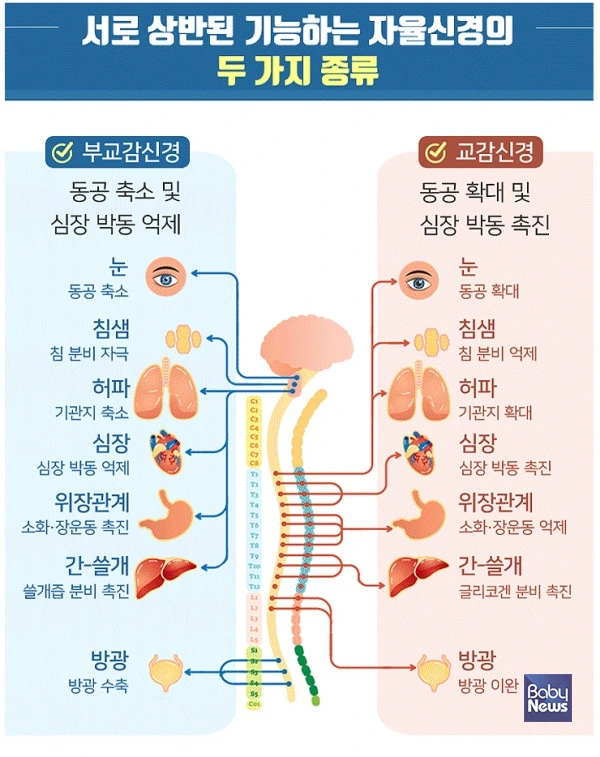 96017_45700_312.png?type=w1