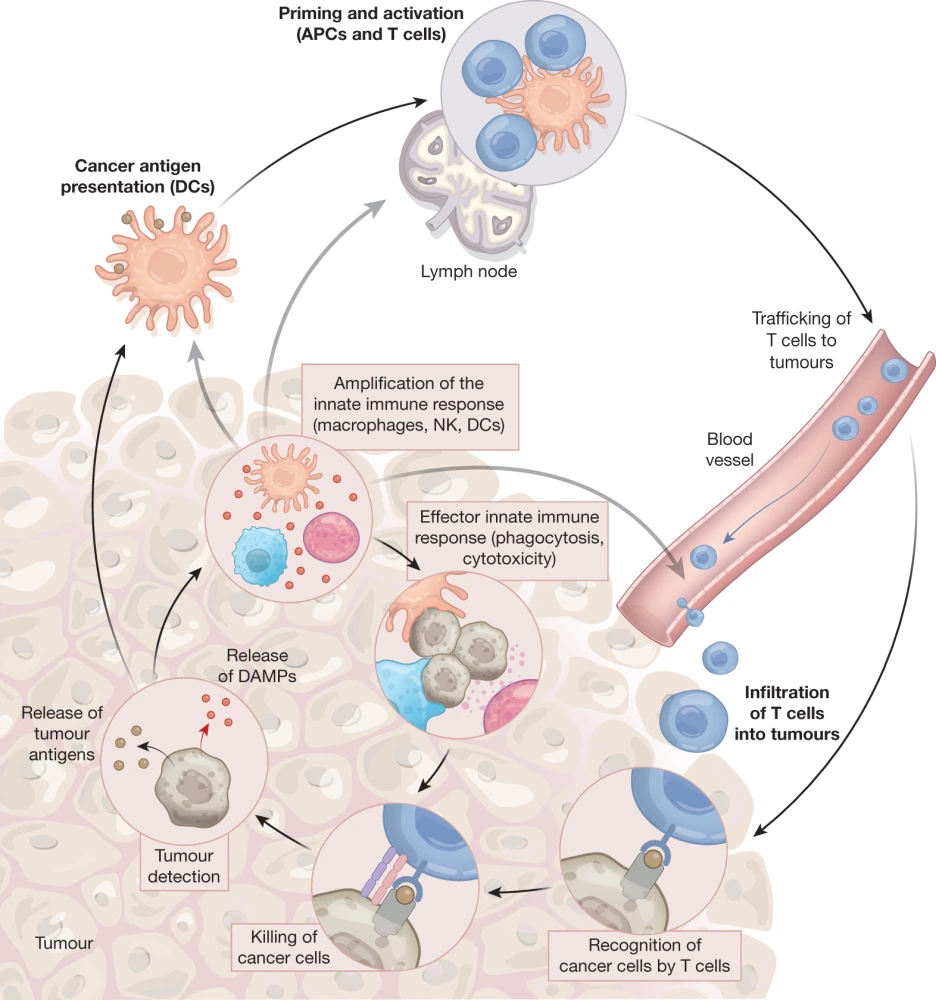 art_3A10.png?type=w1