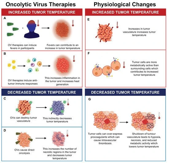 63058ec24c300biomedicines-10-02024-g001-550.png?type=w1
