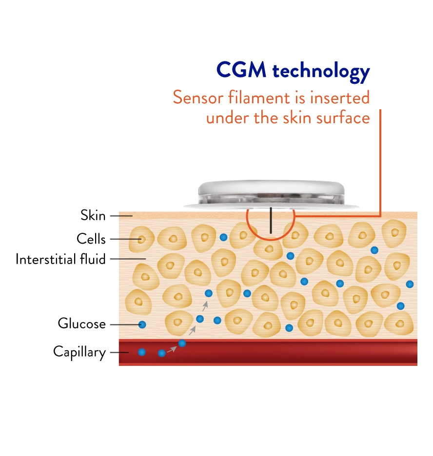 image_copy.coreimg.85.1280.png?type=w1